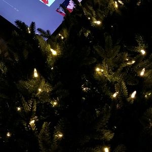 Meet your Posher, Danna